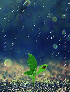 彩色雨珠