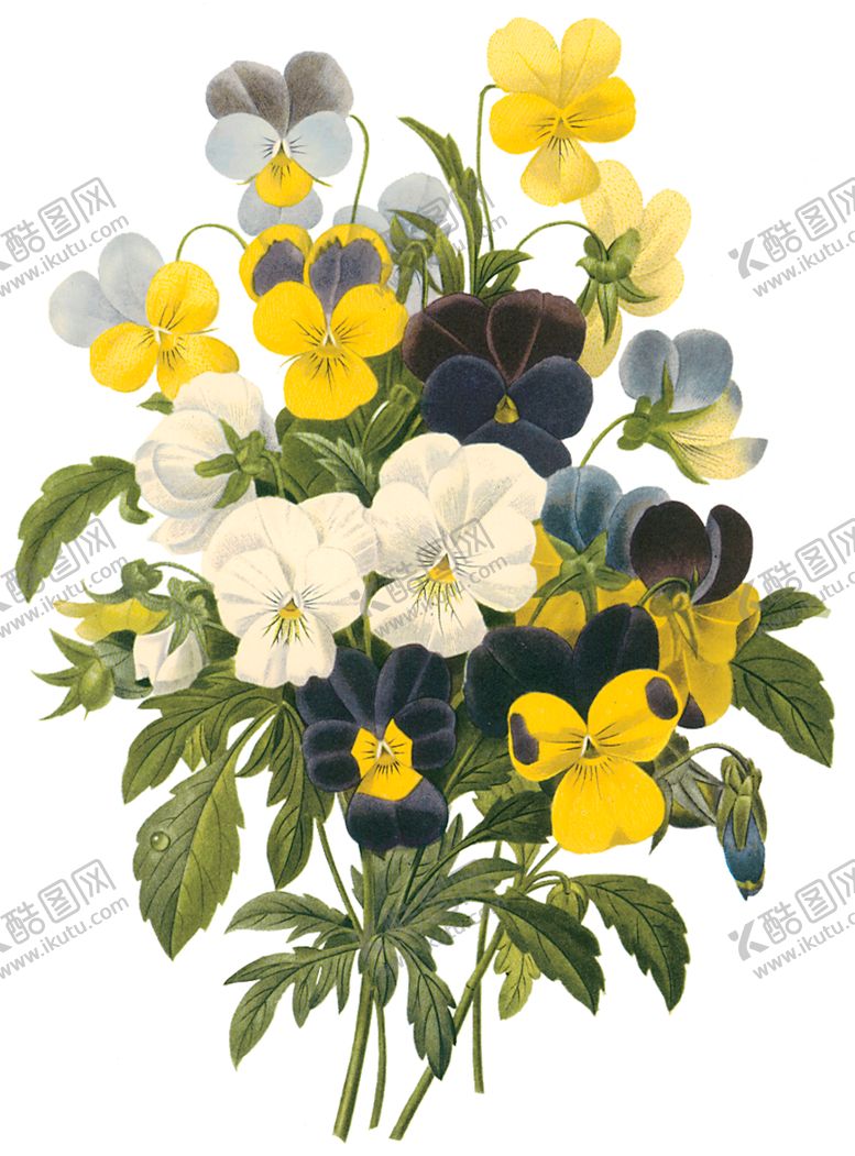 编号：18270307031442118476【酷图网】源文件下载-植物花卉油画装饰画