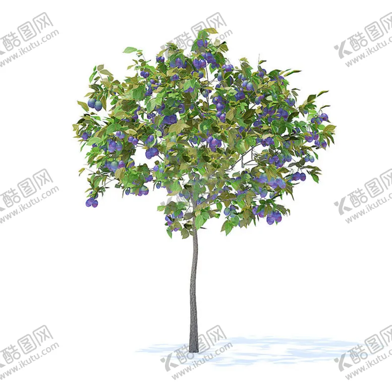 编号：36595010232332467943【酷图网】源文件下载-C4D模型树