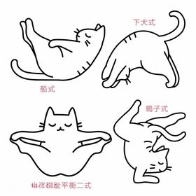 瑜珈猫