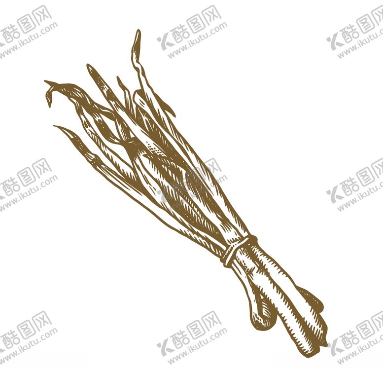 编号：21680607141742172607【酷图网】源文件下载-蔬菜