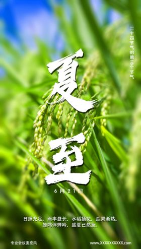 夏至图片