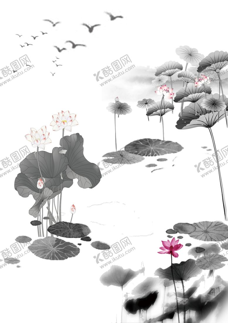 编号：32821910091551359703【酷图网】源文件下载-荷花psd素材文件