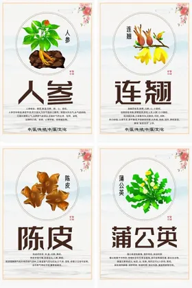 中式中医中药药材宣传系列海报