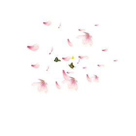 手绘粉色樱花免扣素材图片