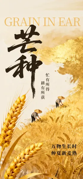 芒种
