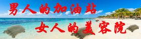 甲鱼海景海报