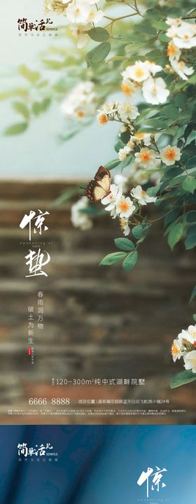 地产惊蛰海报花二十四节气蝴蝶