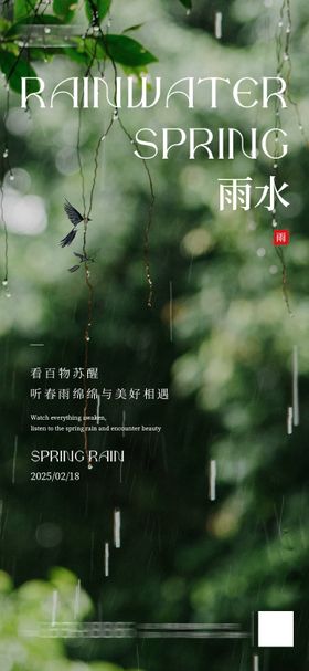 雨水节气海报