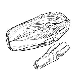 手绘食物线描食物食物线稿