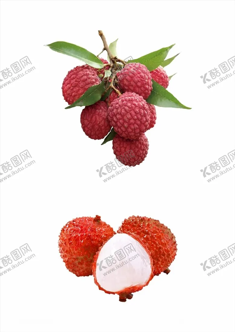 编号：80379002150652235553【酷图网】源文件下载-荔枝矢量图