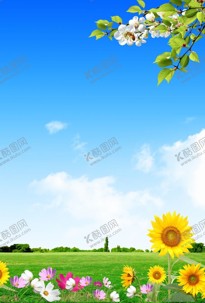编号：98435007041852089713【酷图网】源文件下载-蓝天白云草地