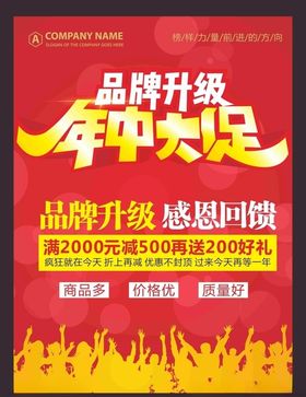 年中大促
