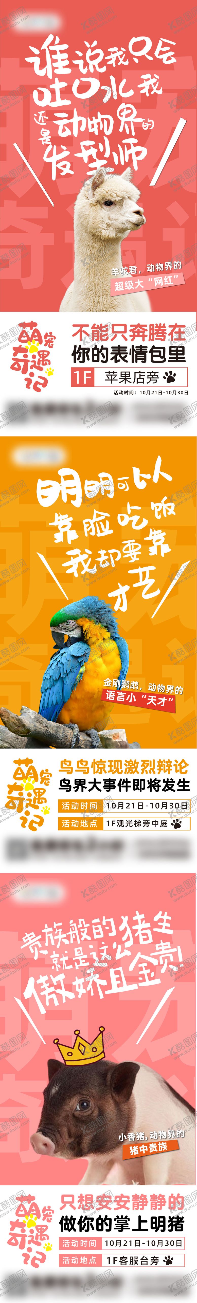 编号：50968009080453233648【酷图网】源文件下载-萌宠展宣传倒计时海报