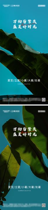 大暑小暑夏至处暑节气海报