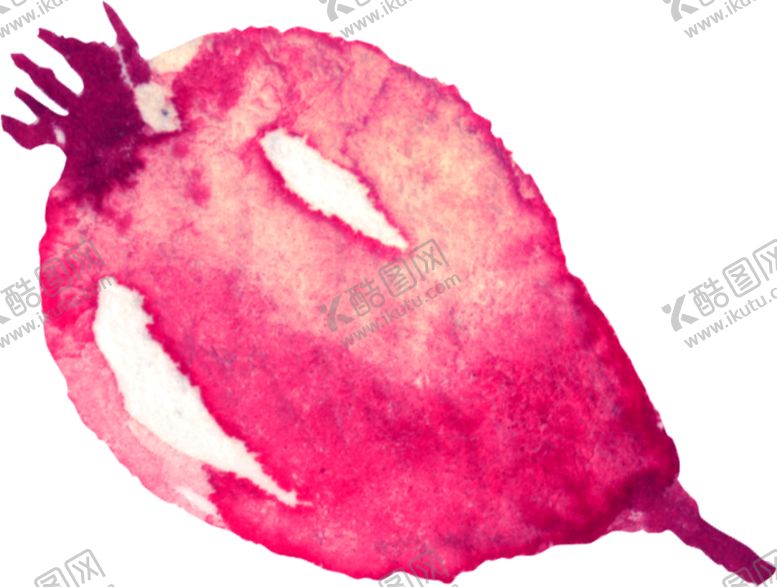 编号：33134109211036376888【酷图网】源文件下载-水彩手绘花卉花朵植物