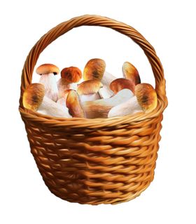 卡通蘑菇