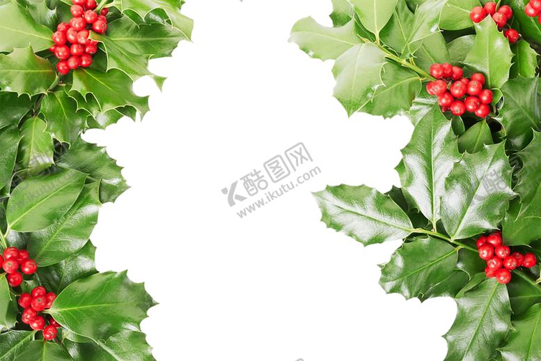 编号：45620707061753008025【酷图网】源文件下载-花边背景