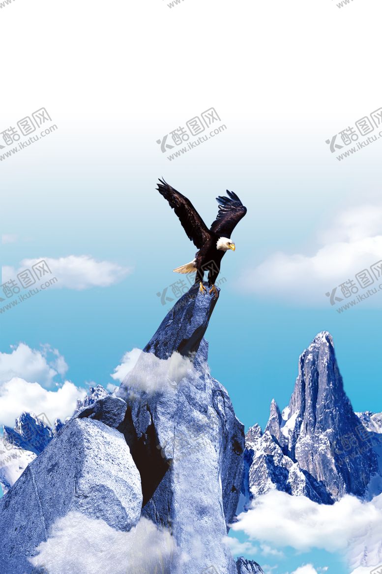 编号：16920310021657418983【酷图网】源文件下载-雄鹰
