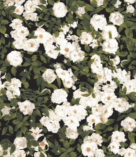 绿叶白花白色花