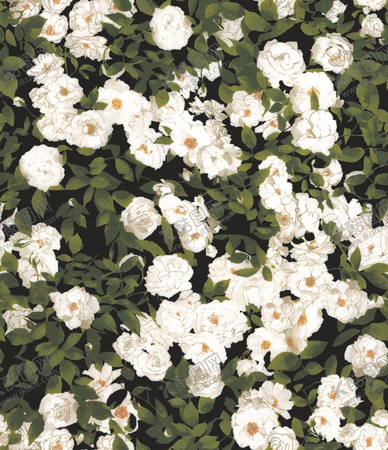编号：39553005071207569122【酷图网】源文件下载-绿叶白花白色花
