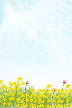 蓝天白云油菜花美丽背景