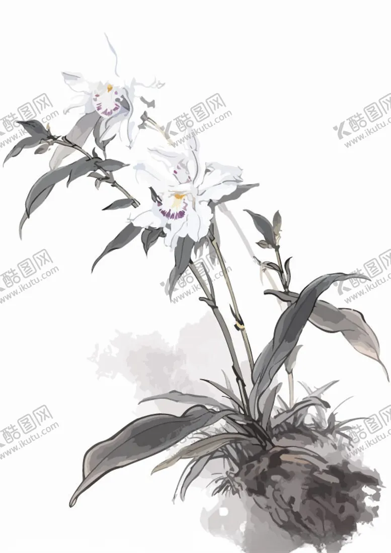 编号：96184702170502171362【酷图网】源文件下载-中式水墨画兰花
