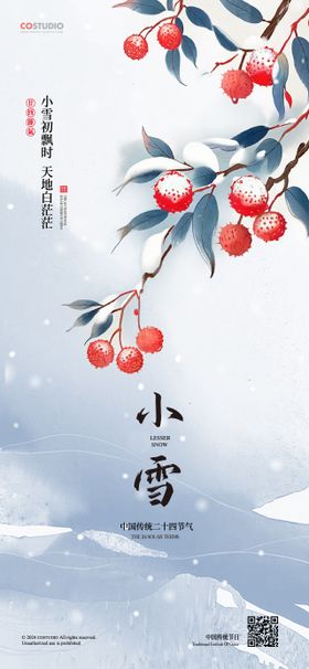 小雪大雪冬至节气海报