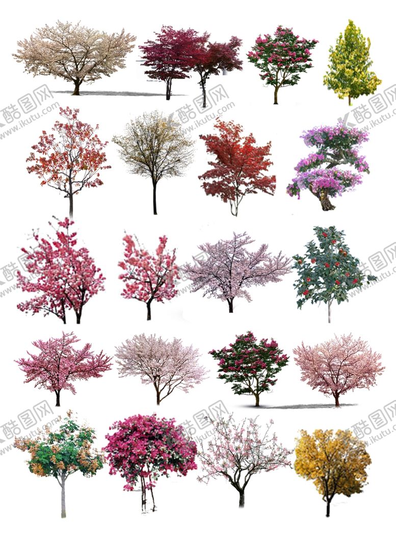 编号：35959210281412339833【酷图网】源文件下载-景观树