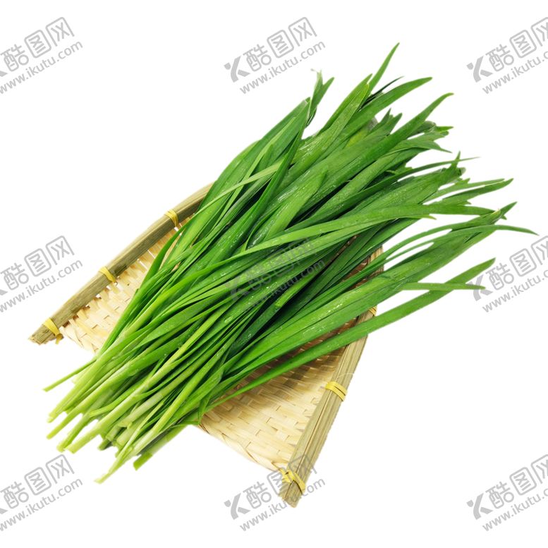 编号：95236301211019479064【酷图网】源文件下载-韭菜
