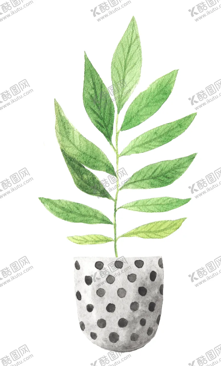 编号：58045206282338338210【酷图网】源文件下载-绿色家庭植物