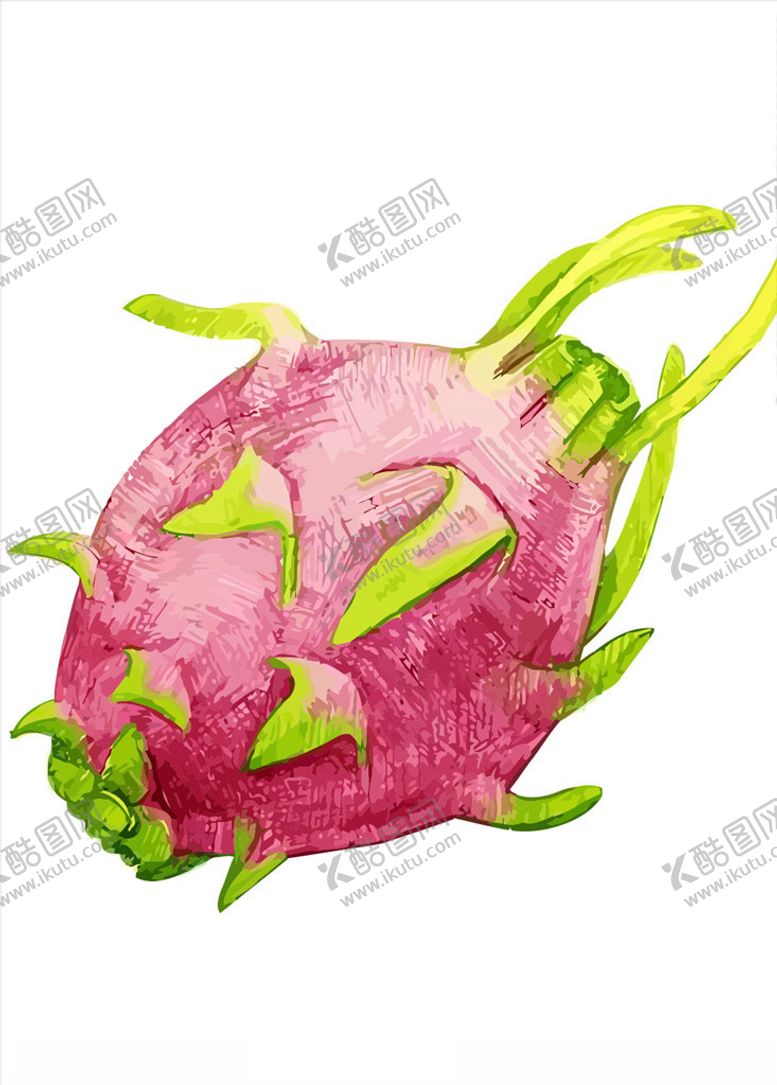 编号：70414005041541359946【酷图网】源文件下载-火龙果