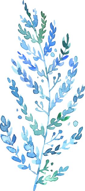 手绘花卉植物花朵化妆品元素