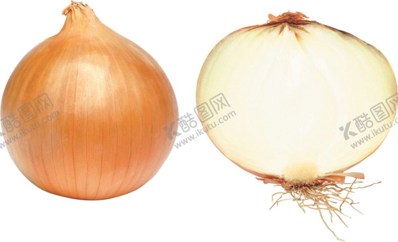 编号：46308409190522447708【酷图网】源文件下载-洋葱