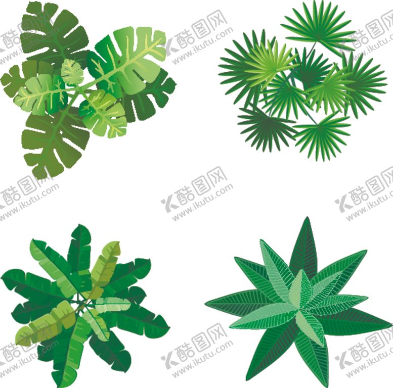 编号：54281704172157204909【酷图网】源文件下载-植物