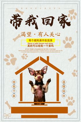 宠物海报