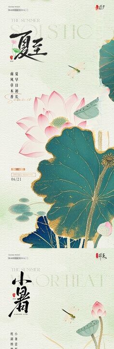 夏至小暑荷花中式插画海报
