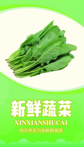 新鲜蔬菜