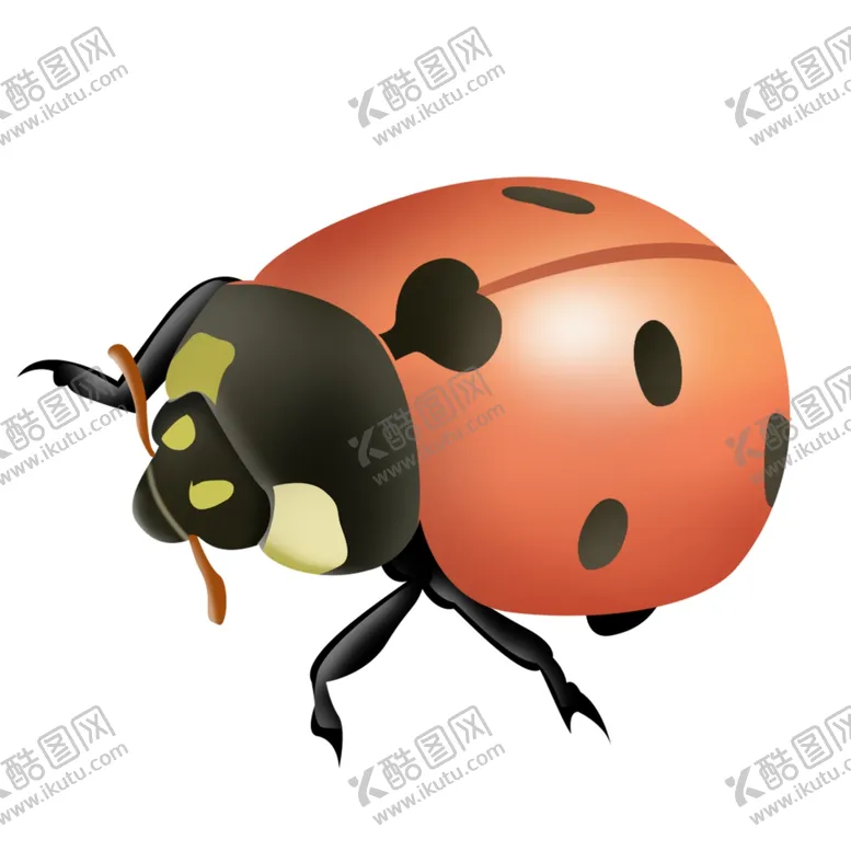 编号：27192205011509509646【酷图网】源文件下载-七星瓢虫插画