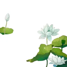 荷花素材立夏背景手绘中国风