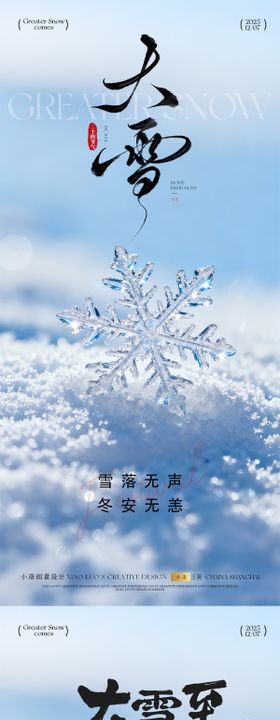 大雪冬天传统二十四节气节气节日
