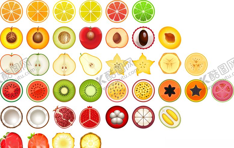 编号：69493109282242256934【酷图网】源文件下载-矢量拟物水果剖面