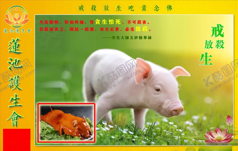编号：35966704180019466691【酷图网】源文件下载-护生展板