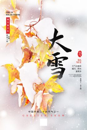 24节气海报  大雪