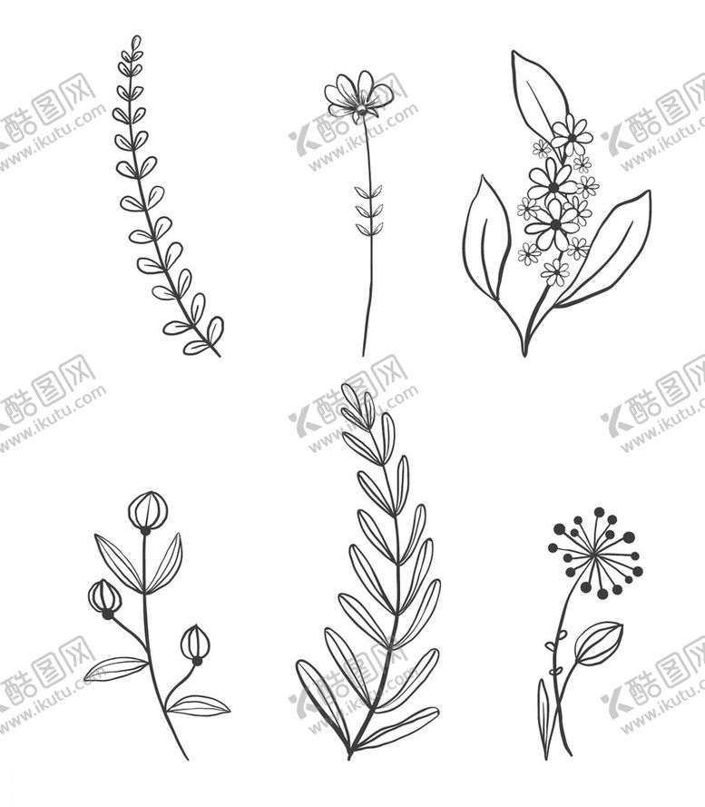 编号：81283202270944145519【酷图网】源文件下载-黑白线描花卉树叶矢量元素