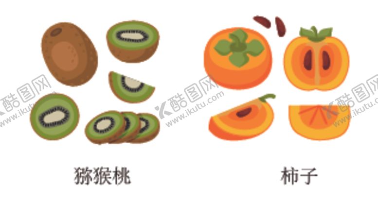 编号：66047412080512066844【酷图网】源文件下载-猕猴桃。柿子水果矢量切片
