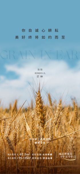 芒种海报