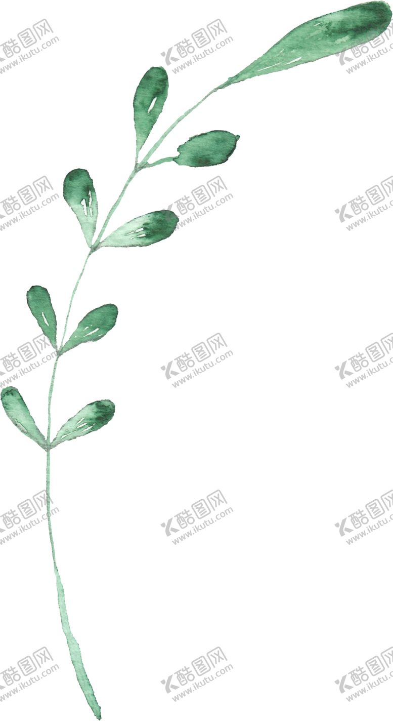 编号：74573310080753175662【酷图网】源文件下载-海报元素花草元素展架元素
