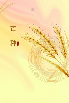 芒种海报小麦麦子朋友圈背景粮食