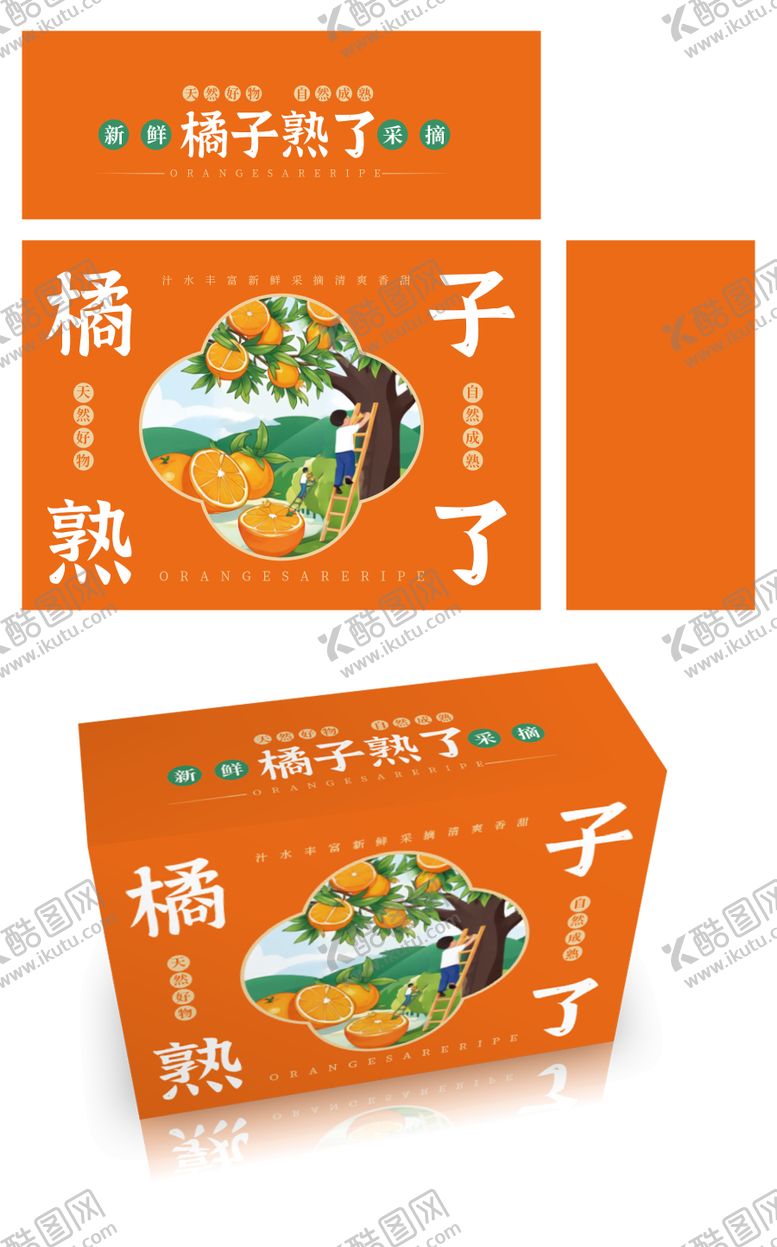 编号：92531402240217533640【酷图网】源文件下载-橘子包装设计